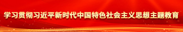 操逼流水视频电费看学习贯彻习近平新时代中国特色社会主义思想主题教育